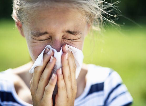Experten warnen vor Sommerallergien 